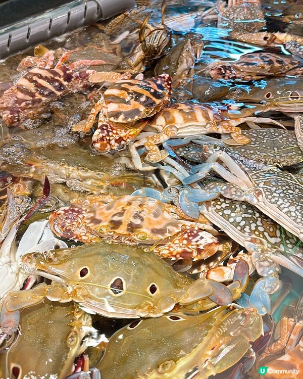 🎏癲價‼️$298食爆九龍灣千海水產💥