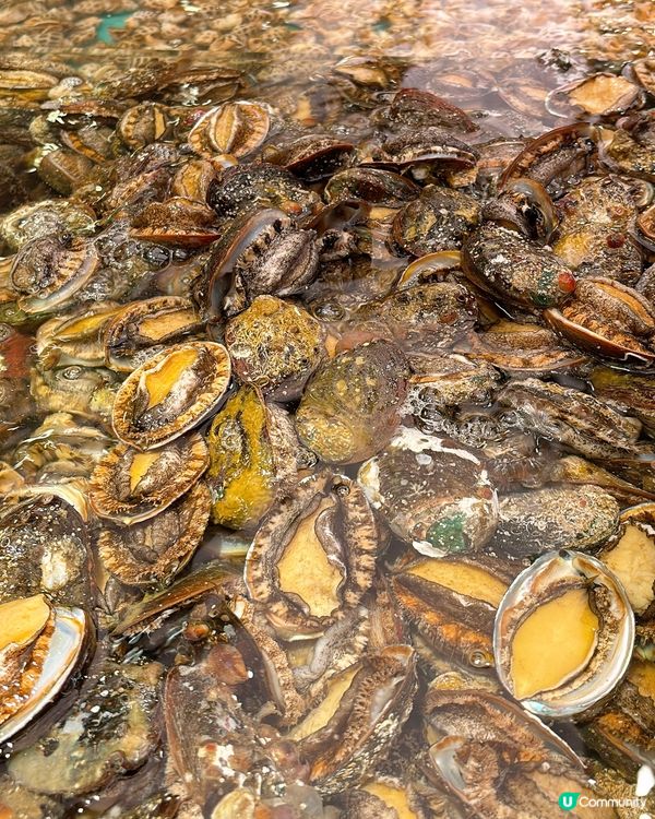 🎏癲價‼️$298食爆九龍灣千海水產💥