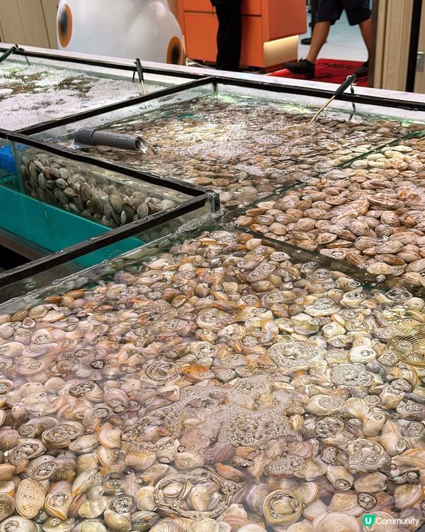 🎏癲價‼️$298食爆九龍灣千海水產💥