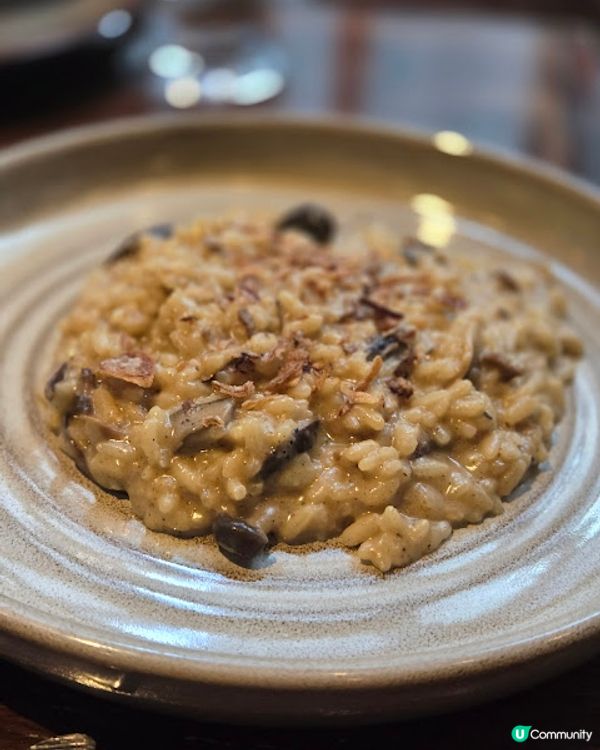 Spiga - 週末的輕鬆時光