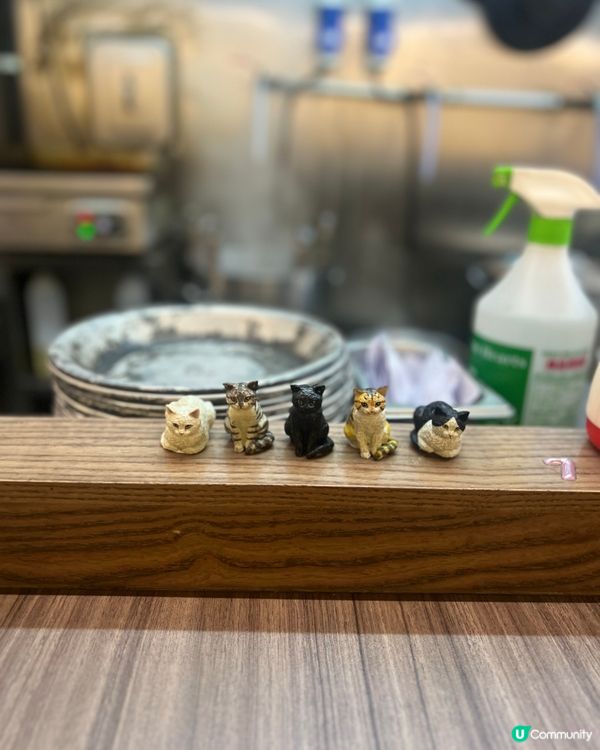 餐廳坐落於牛頭角既隱世小店,我鐘意佢地冇加一收費😍👏🏻 