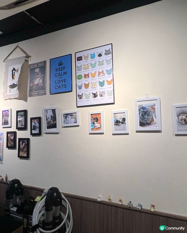 餐廳坐落於牛頭角既隱世小店,我鐘意佢地冇加一收費😍👏🏻 