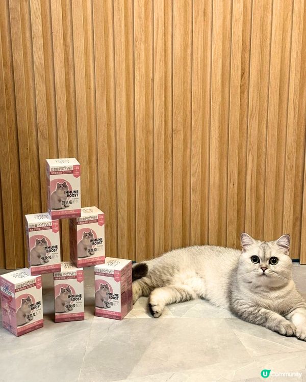 【送禮】U Community 社群 送「位您寵」貓貓保健品🎁！
