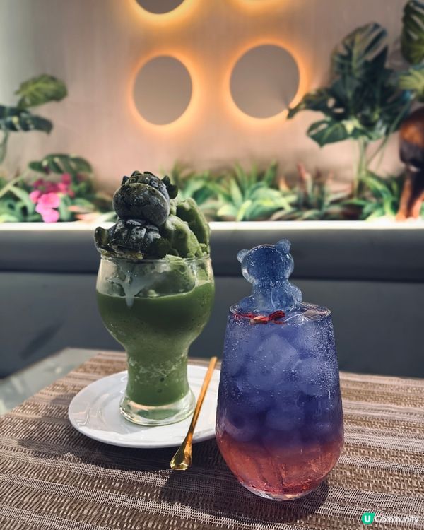 觀塘工廈泰國菜🤤泰式明爐冬陰功烤魚