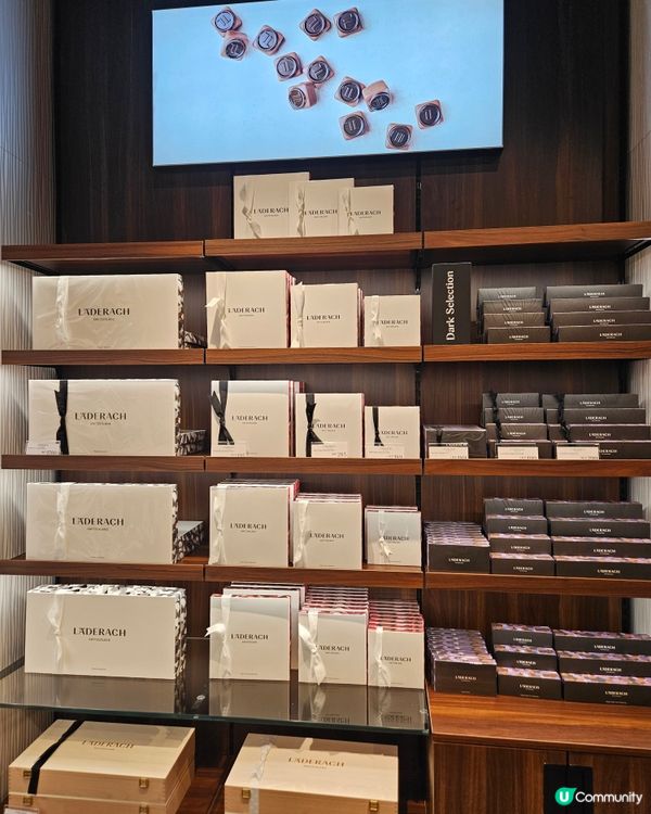 瑞士朱古力到港！🍫😋