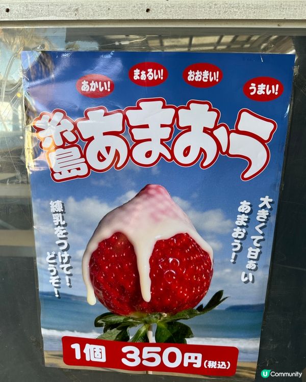 🇯🇵福岡士多啤梨真係正？