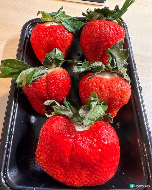 🇯🇵福岡士多啤梨真係正？