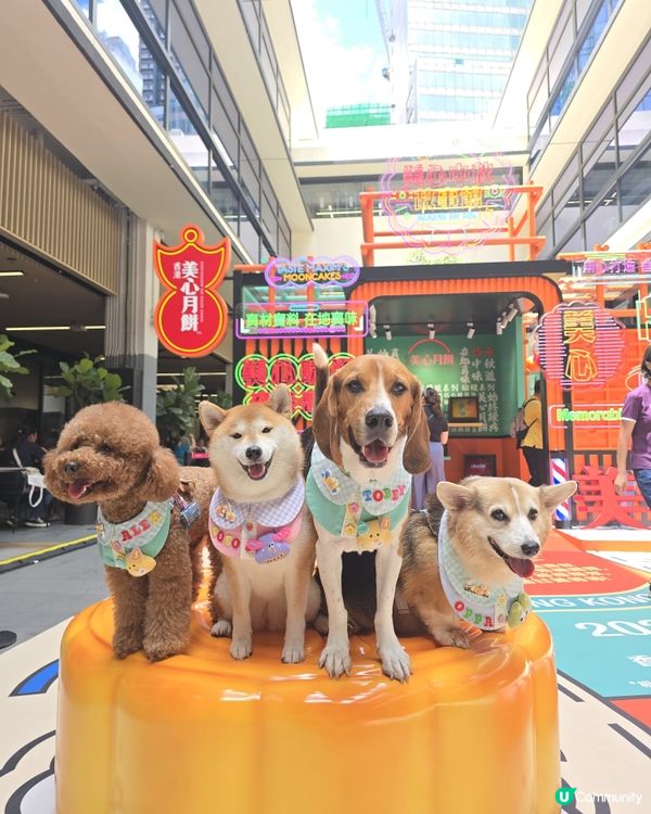 【1】中秋節去邊度？美心故事館打卡📸！香港製造！🇭🇰