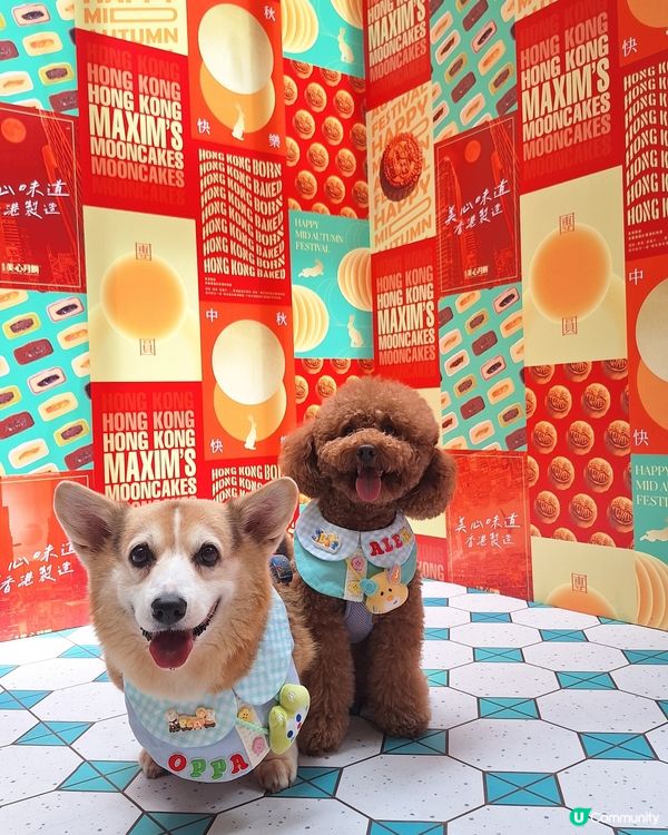 【1】中秋節去邊度？美心故事館打卡📸！香港製造！🇭🇰