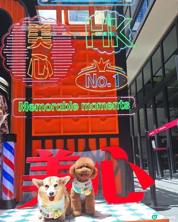 【1】中秋節去邊度？美心故事館打卡📸！香港製造！🇭🇰