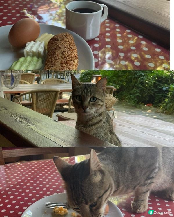 2025 土耳其之旅 番紅花城 安卡拉 Day 1-3