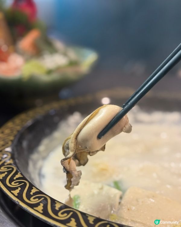 旺角海鮮雞煲🤤！生啤任飲🍻！生日有驚喜🎂！