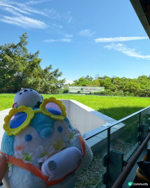 赤柱嘆世界！🦀海鮮控必去！🤤