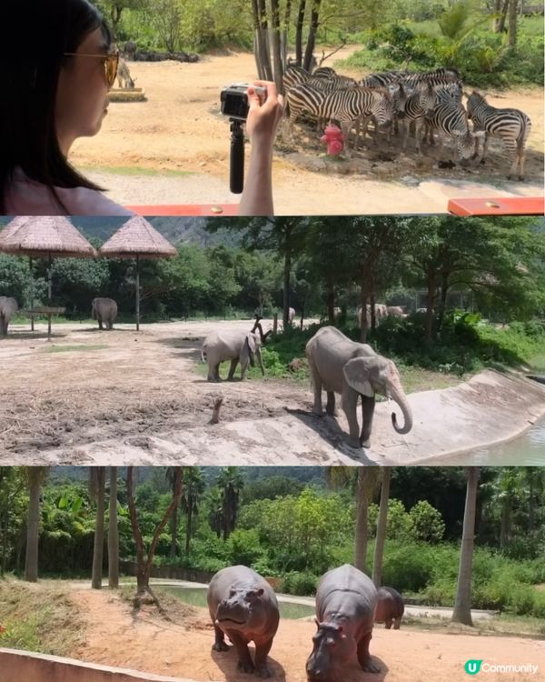 ［清遠長隆森林王國］2025新開 2日1夜快閃親子遊