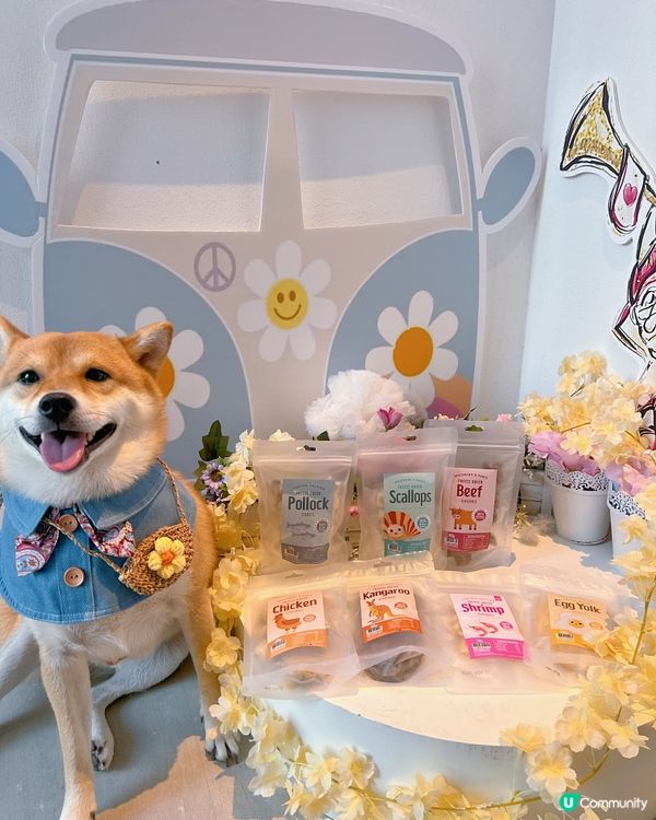 Whiskers N Paws ｢寵物零食套裝｣