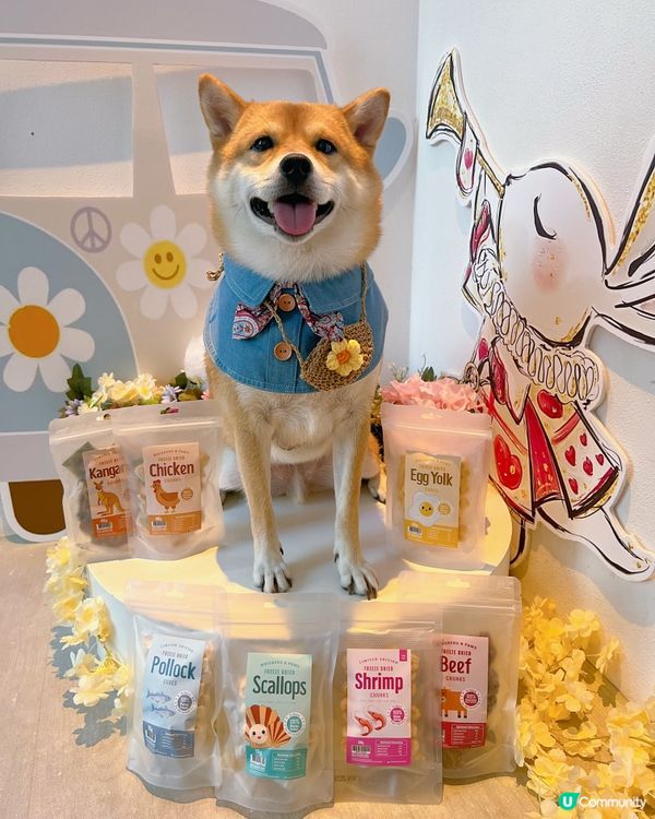 Whiskers N Paws ｢寵物零食套裝｣