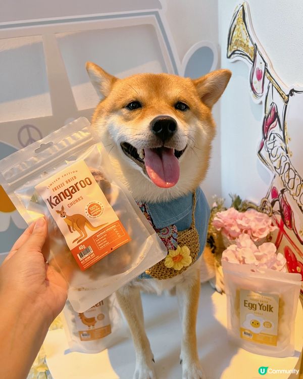 Whiskers N Paws ｢寵物零食套裝｣