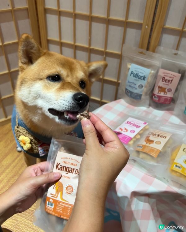 Whiskers N Paws ｢寵物零食套裝｣