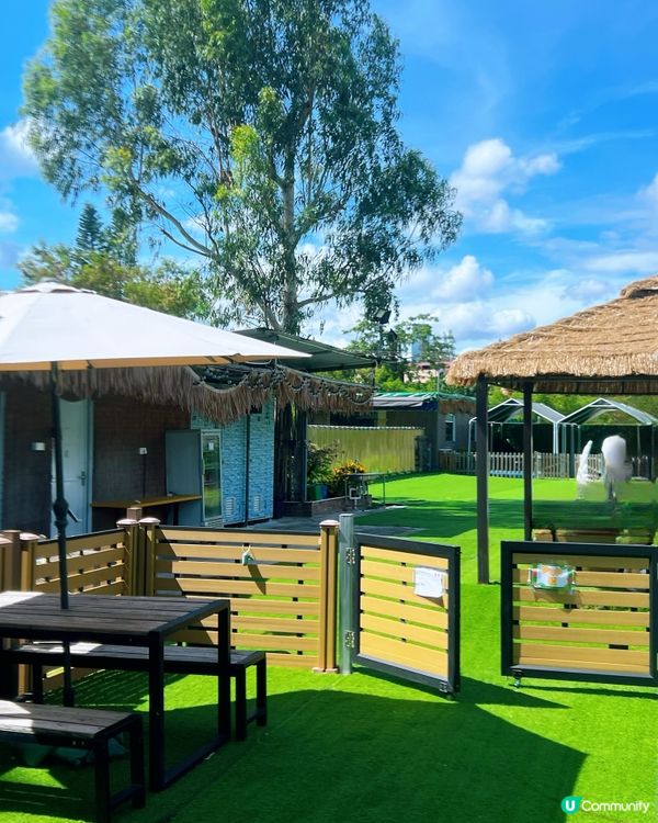 狗狗放電好去處🫧