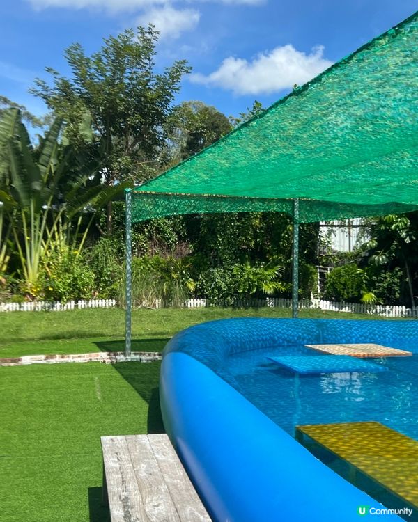 狗狗放電好去處🫧