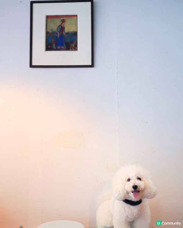 韓式咖啡店登陸港島！毛孩都啱🐶☕️