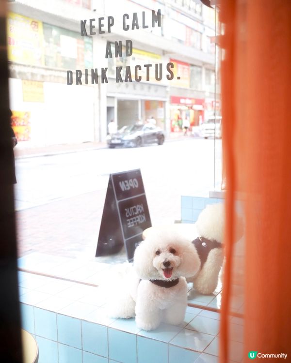 韓式咖啡店登陸港島！毛孩都啱🐶☕️