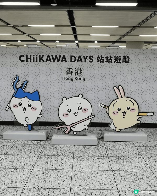 這幾張相片是我在香港地鐵站拍下的「Chiikawa Days...