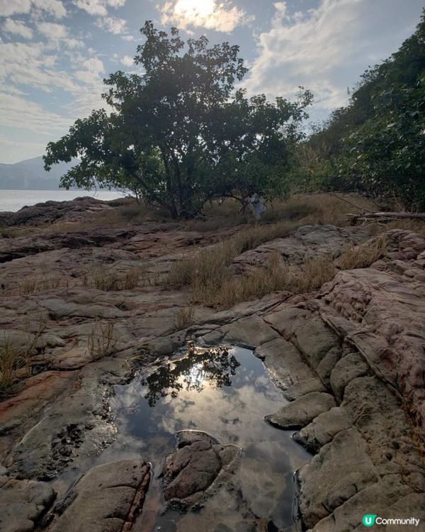 玩轉大埔夏日水上活動
