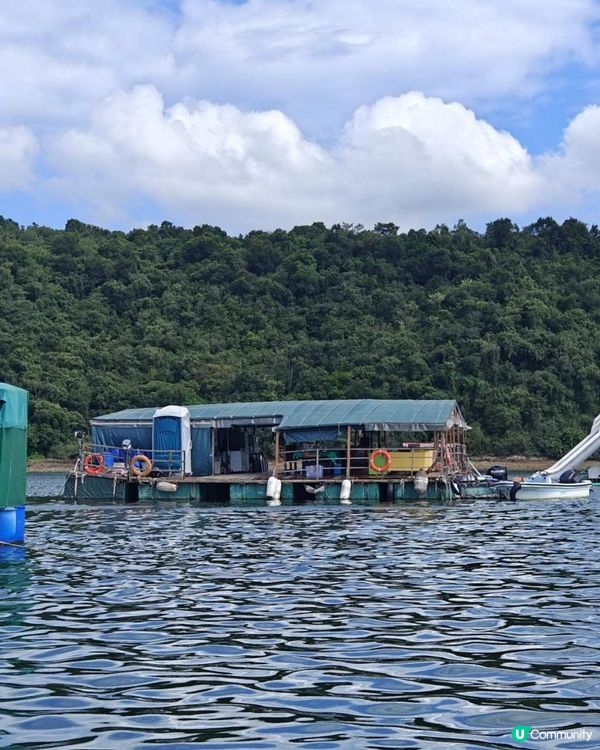 玩轉大埔夏日水上活動