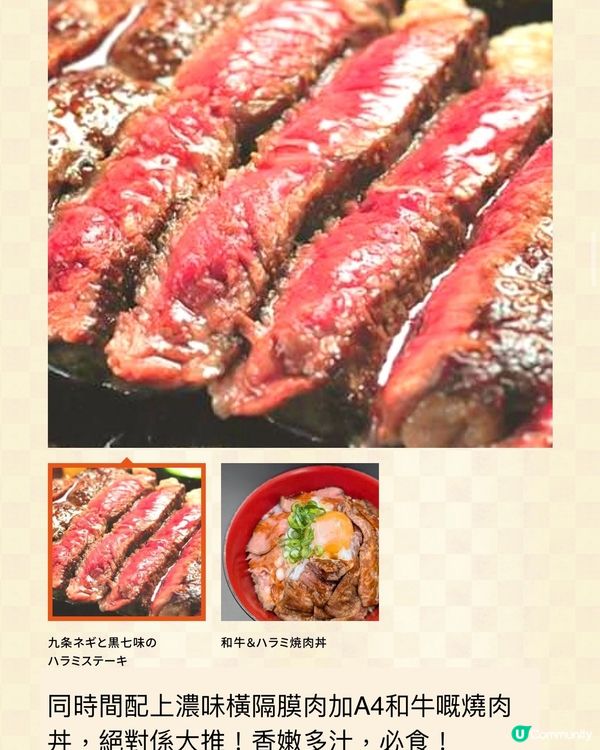 大阪電視台搞嘅大阪美食節😋免費入場
