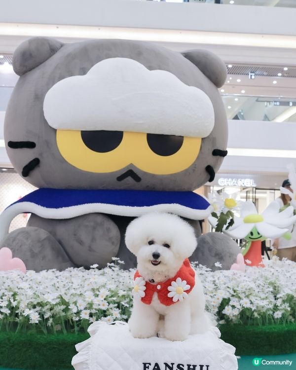 熱辣辣梗係室內活動啦 ！ 時代廣場打卡📸！