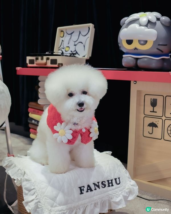 熱辣辣梗係室內活動啦 ！ 時代廣場打卡📸！