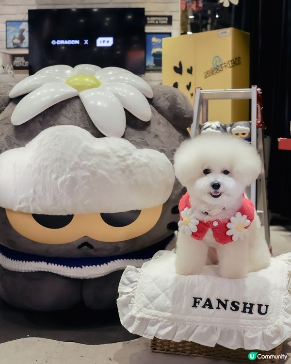 熱辣辣梗係室內活動啦 ！ 時代廣場打卡📸！