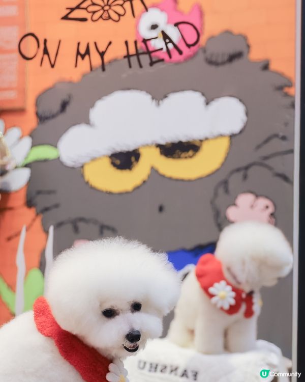 GD周邊影唔停📸！時代廣場打卡！😍 #跟住蕃薯周圍去