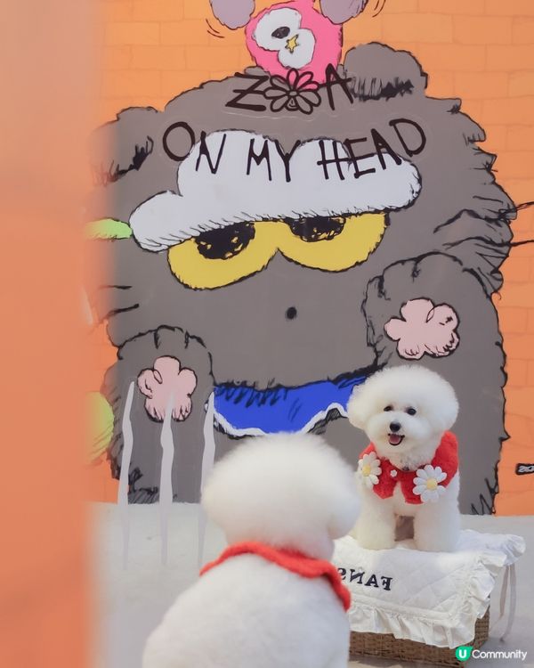 GD周邊影唔停📸！時代廣場打卡！😍 #跟住蕃薯周圍去