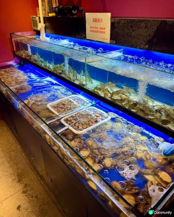 北角即撈任食海鮮 性價比高重慶火鍋