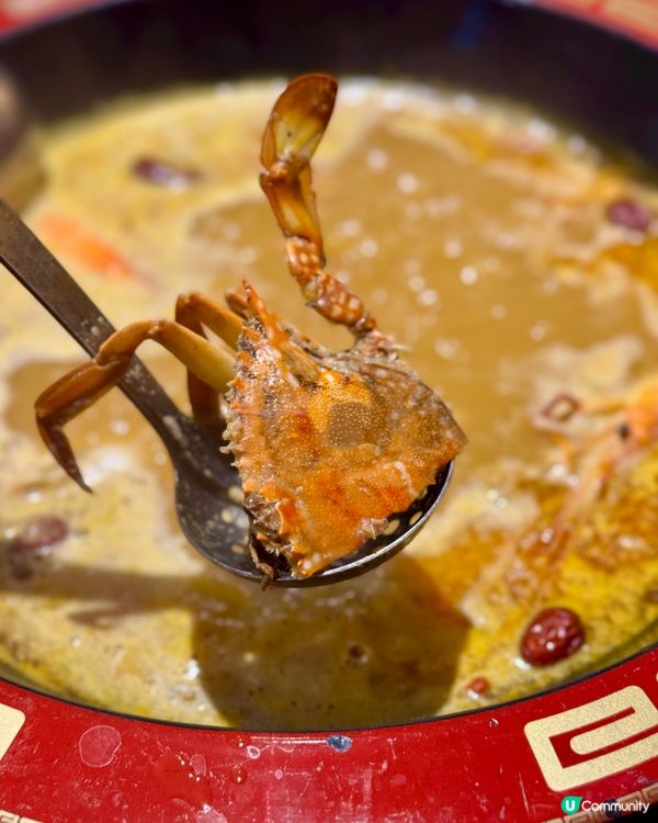 北角即撈任食海鮮 性價比高重慶火鍋