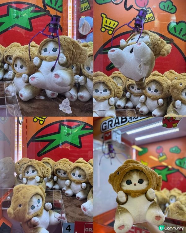 香港大學新蒲點！物超柿娃娃機店開張🎉 超級容易夾🤣夾到你手軟