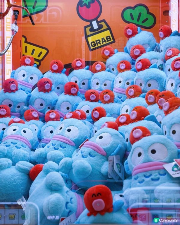 香港大學新蒲點！物超柿娃娃機店開張🎉 超級容易夾🤣夾到你手軟