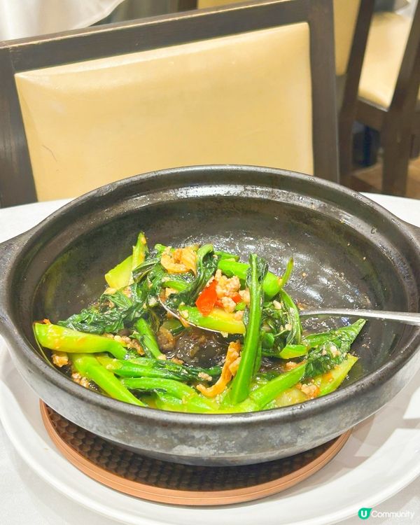 1.灣仔中菜🤤！乳鴿咕嚕肉超正😋！ #中華小館