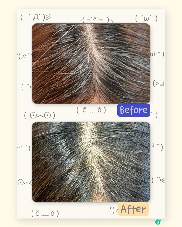 染髮救星！中藥染髮體驗🤩✨