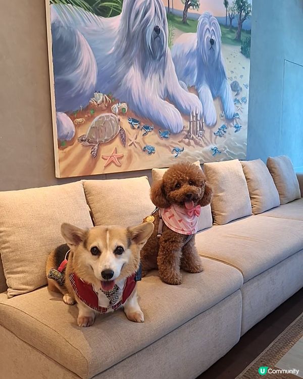 四色雪糕+海景房！Tobey生日快樂🥳🎂