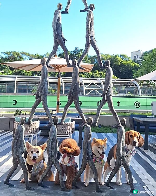 四色雪糕+海景房！Tobey生日快樂🥳🎂