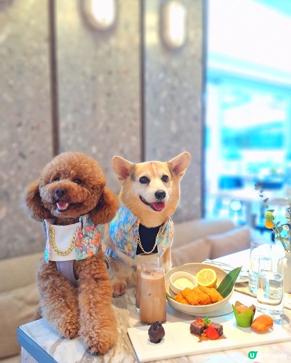 四色雪糕+海景房！Tobey生日快樂🥳🎂