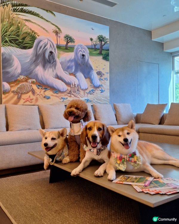 四色雪糕+海景房！Tobey生日快樂🥳🎂