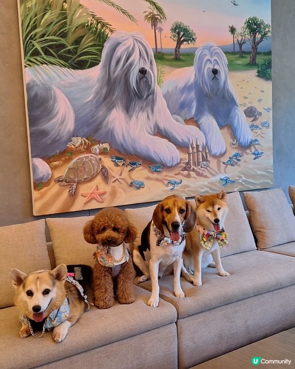 四色雪糕+海景房！Tobey生日快樂🥳🎂