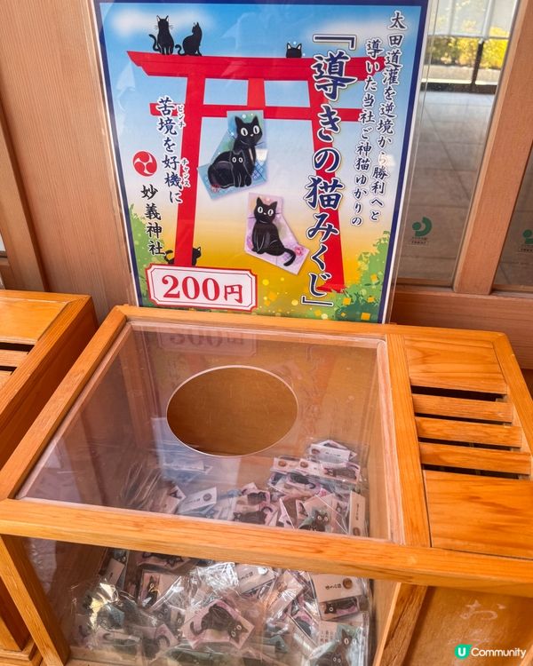 🐾 東京神社探訪｜貓迷必去的妙義神社🐾