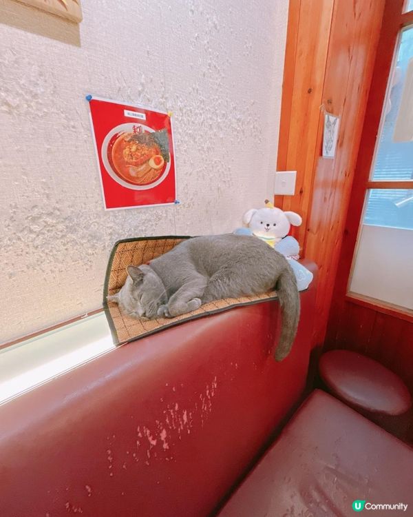 大埔隱世日式拉麵店｜必試限定貝汁雞豚拉麵