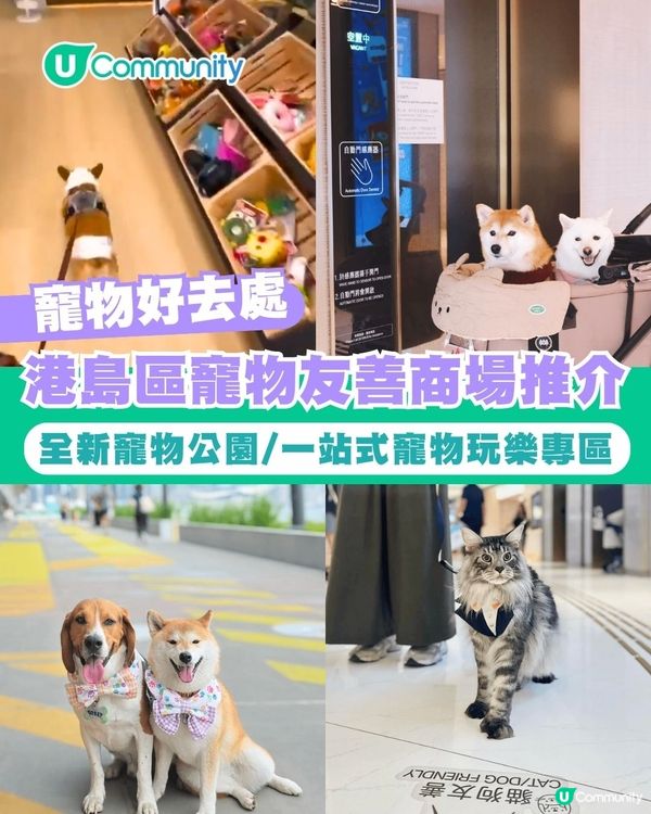 寵物好去處2025｜港島區寵物友善商場推介 全新寵物公園/一站式寵物玩樂區