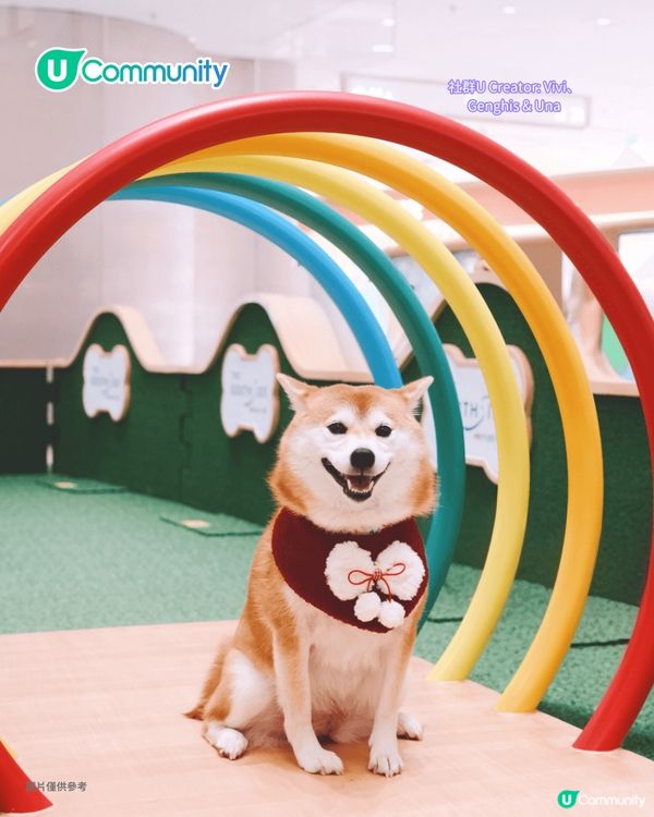 寵物好去處2025｜港島區寵物友善商場推介 全新寵物公園/一站式寵物玩樂區